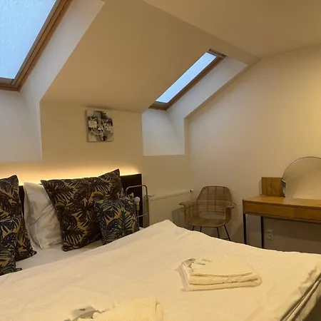 Charming 2-bedroom In Heart Of Praha